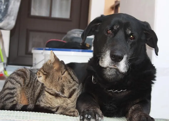 Romantik Apartmanhotel 3*