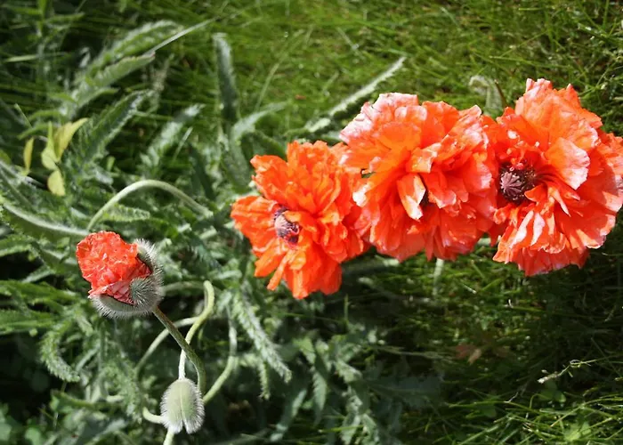 Apartmanhotel Romantik Drezda