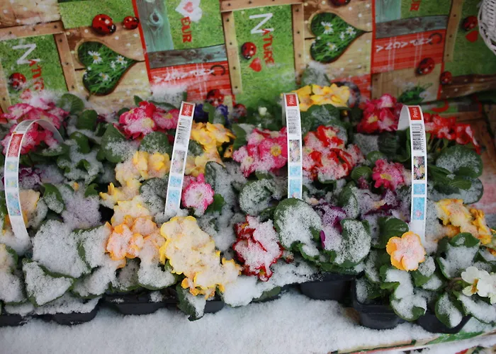 Romantik Apartmanhotel Drezda