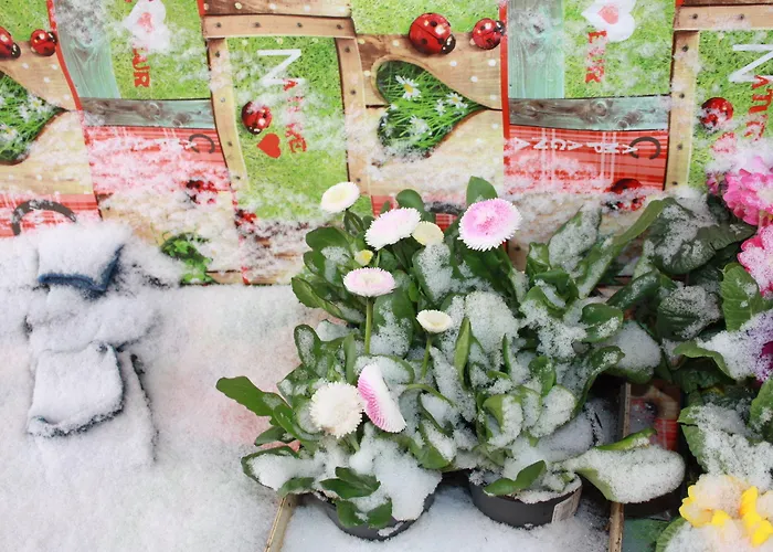 Romantik Apartmanhotel