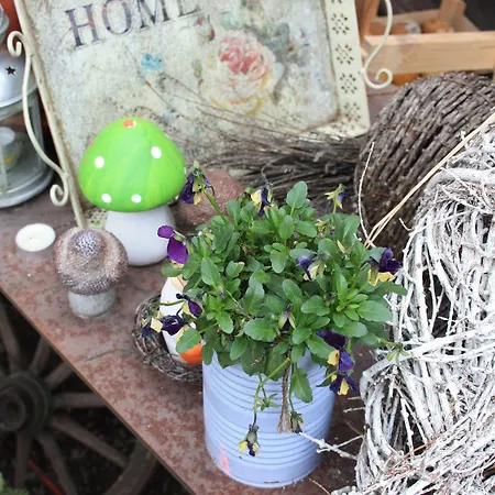 Romantik Hotel apartamentowy Drezno