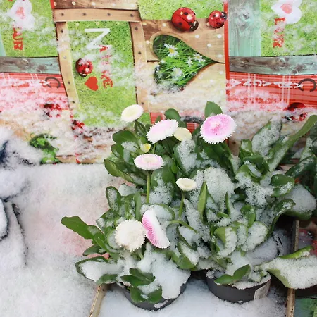 Romantik Hotel apartamentowy