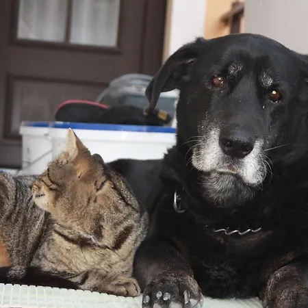 Romantik Ξενοδοχείο με διαμερίσματα 3*