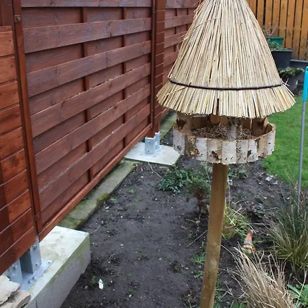 Romantik Δρέσδη