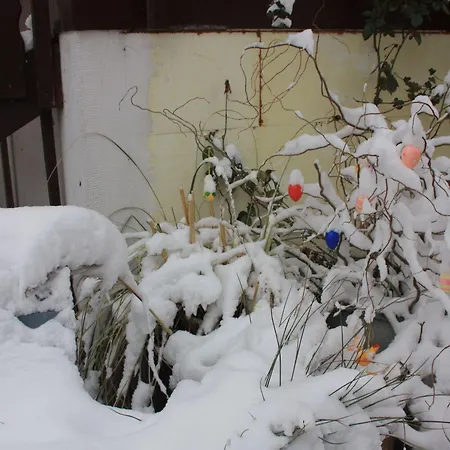 Ξενοδοχείο με διαμερίσματα Romantik